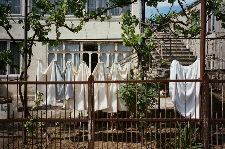 natural laundry detergent eco